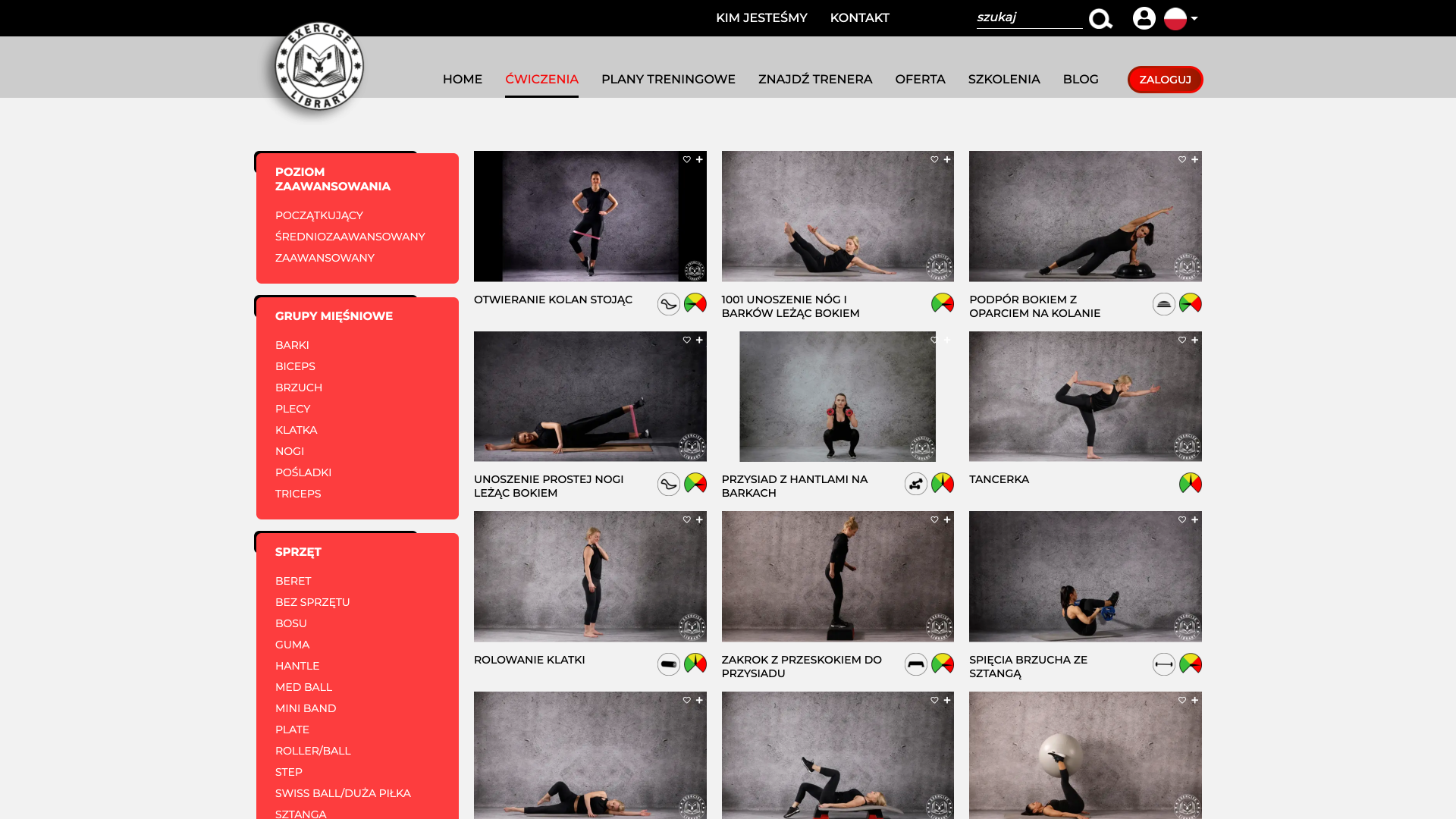 Rozbudowana platforma www dla branży fitness - lista ćwiczeń